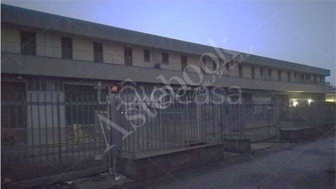 immagine annuncio 6 di 13