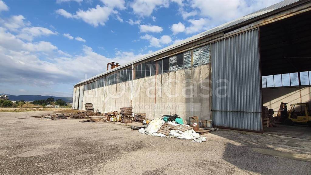 immagine annuncio 2 di 7