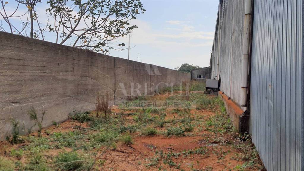 immagine annuncio 5 di 7