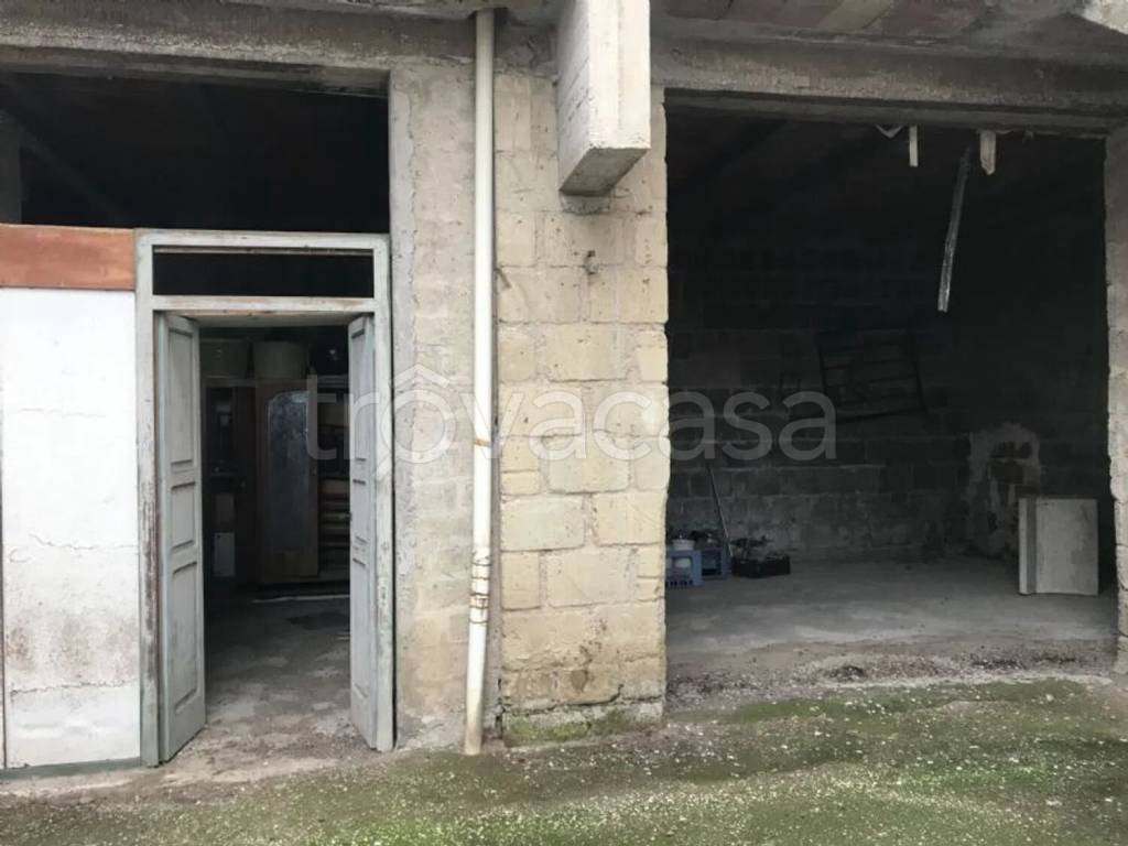immagine annuncio 12 di 14