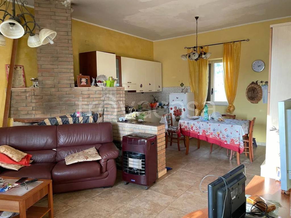 immagine annuncio 6 di 14