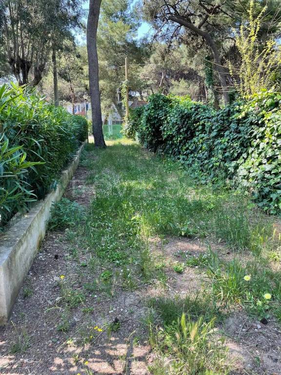 immagine annuncio 3 di 6