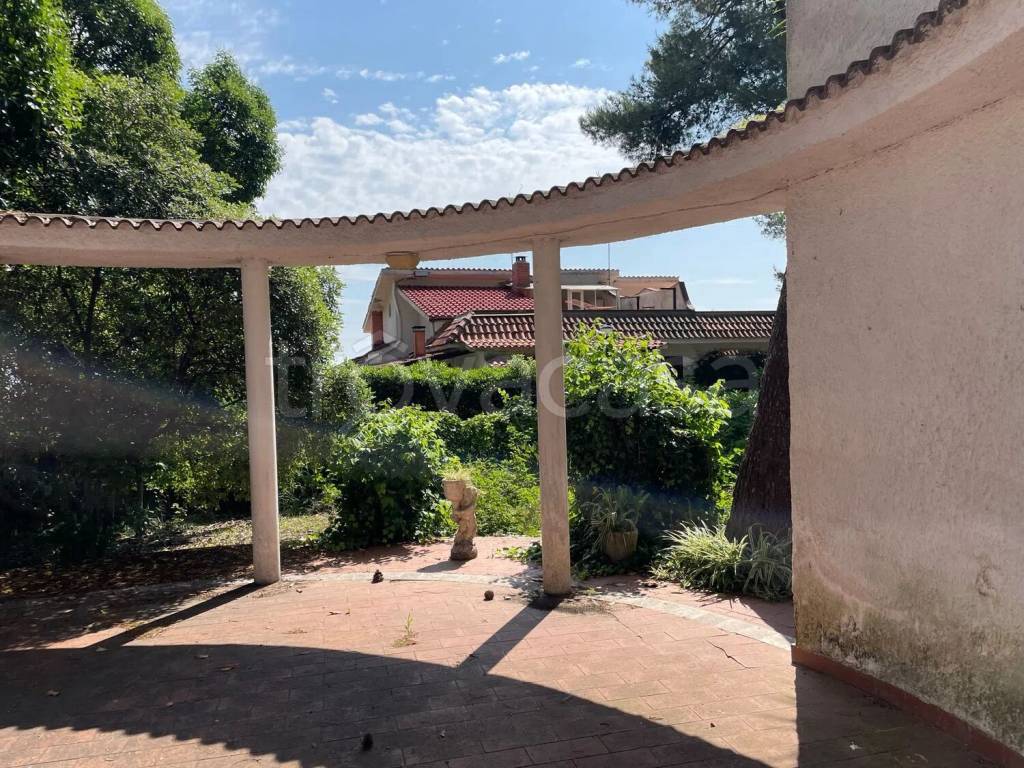immagine annuncio 5 di 6