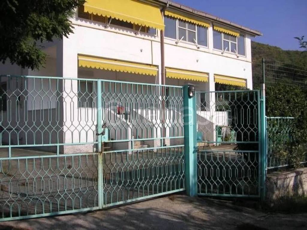 immagine annuncio 2 di 3
