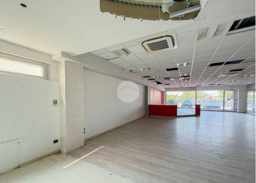 immagine annuncio 3 di 12