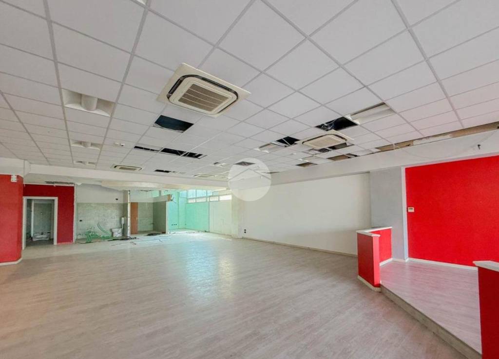 immagine annuncio 4 di 12