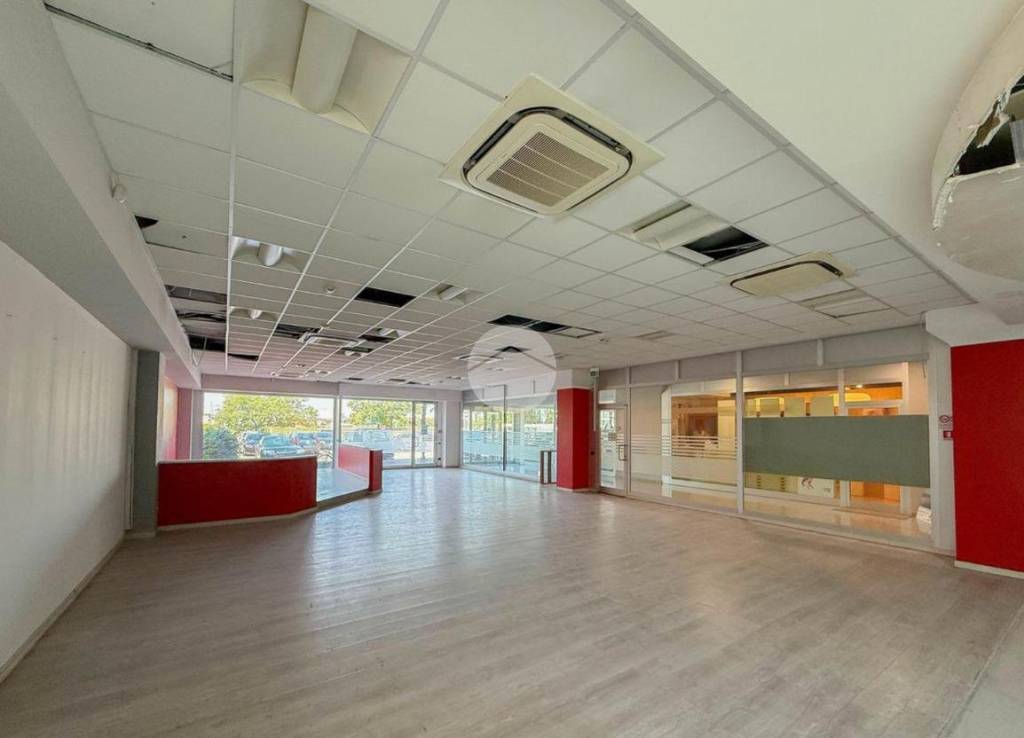 immagine annuncio 10 di 12