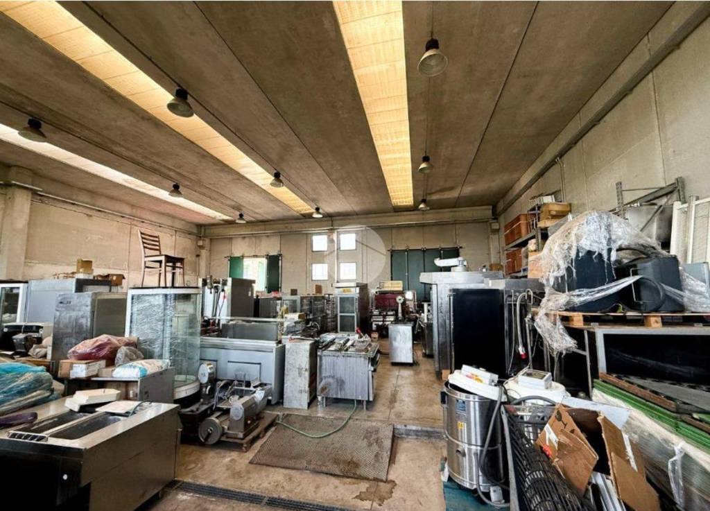 immagine annuncio 2 di 10