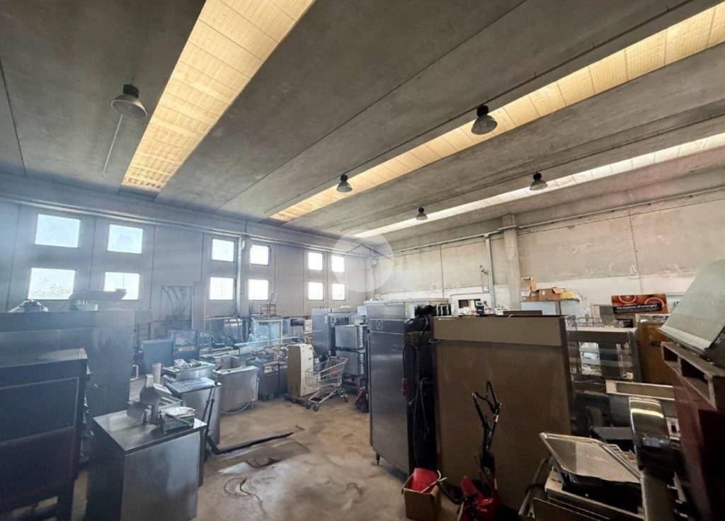 immagine annuncio 3 di 10