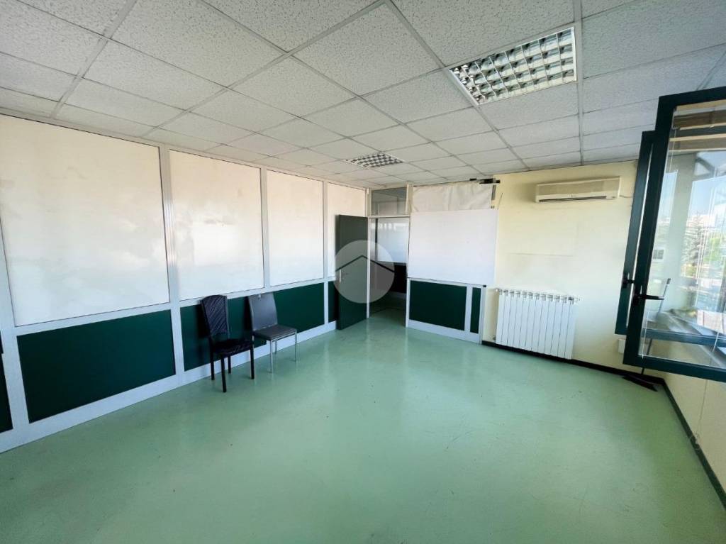 immagine annuncio 6 di 12