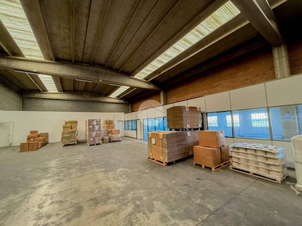 immagine annuncio 2 di 15