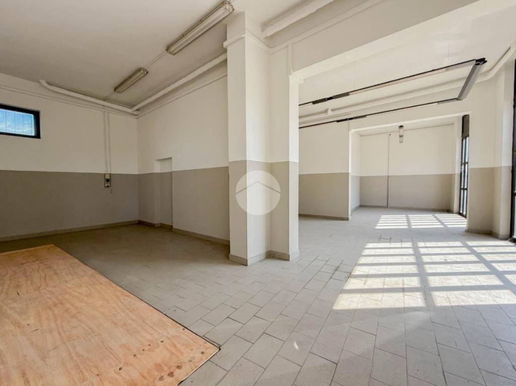 immagine annuncio 3 di 11