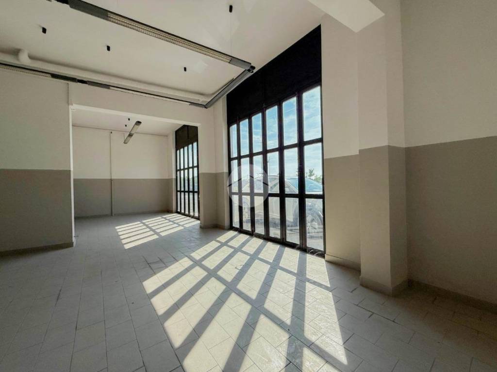 immagine annuncio 4 di 11