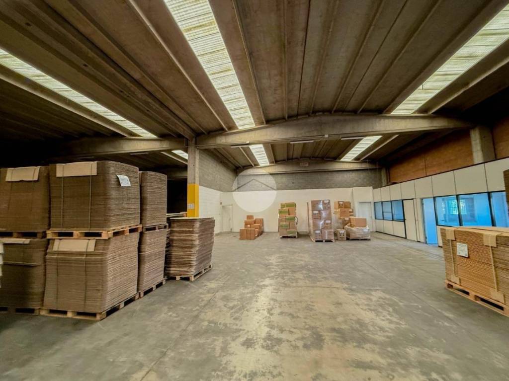 immagine annuncio 12 di 15