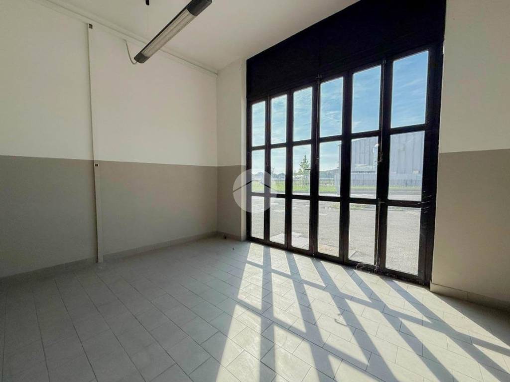 immagine annuncio 7 di 11