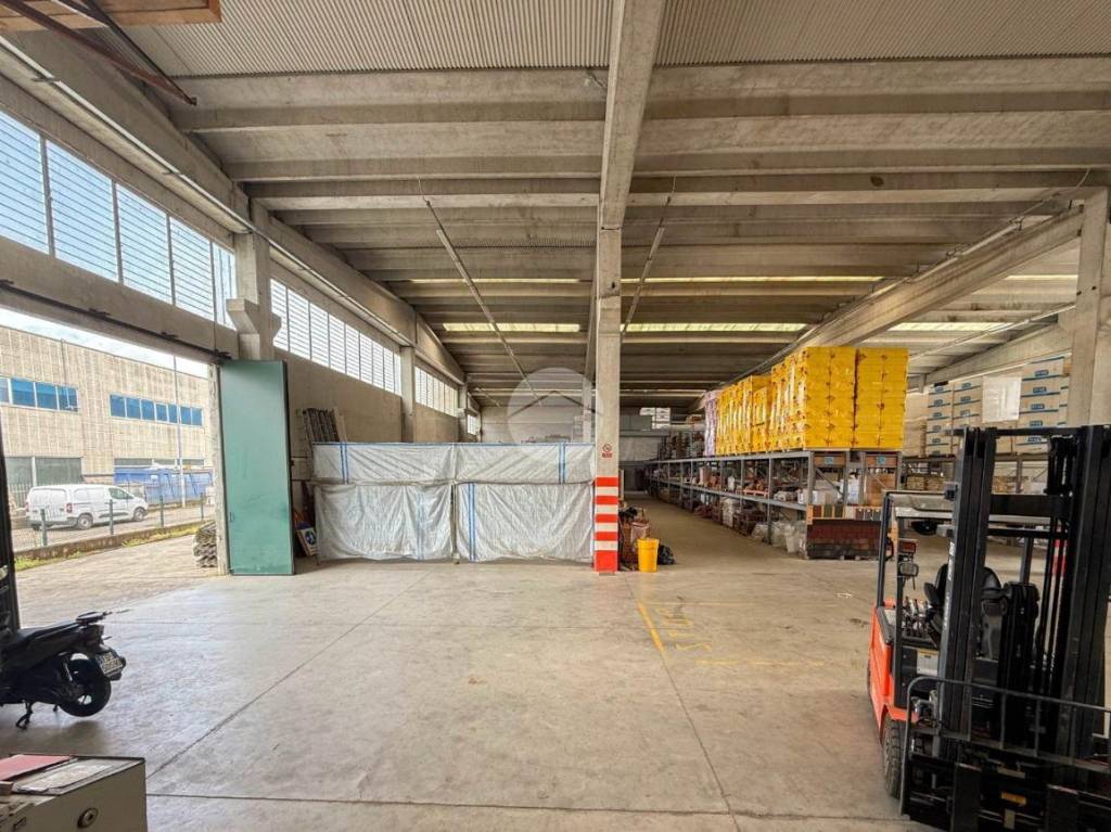 immagine annuncio 3 di 14