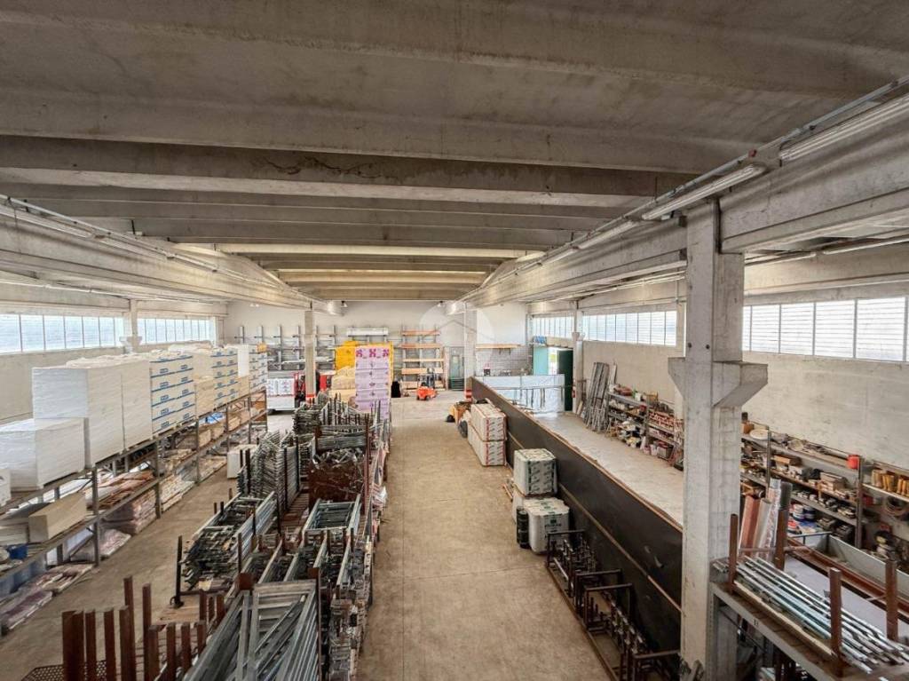 immagine annuncio 7 di 14