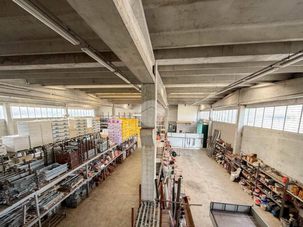 immagine annuncio 10 di 14