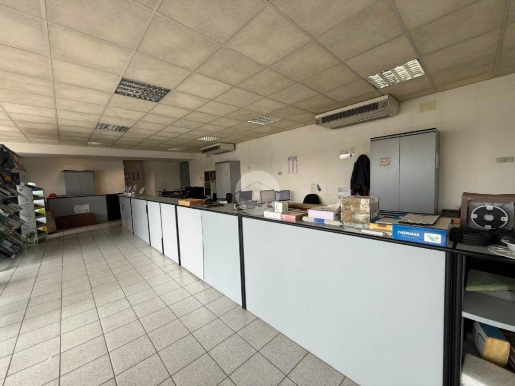 immagine annuncio 11 di 14