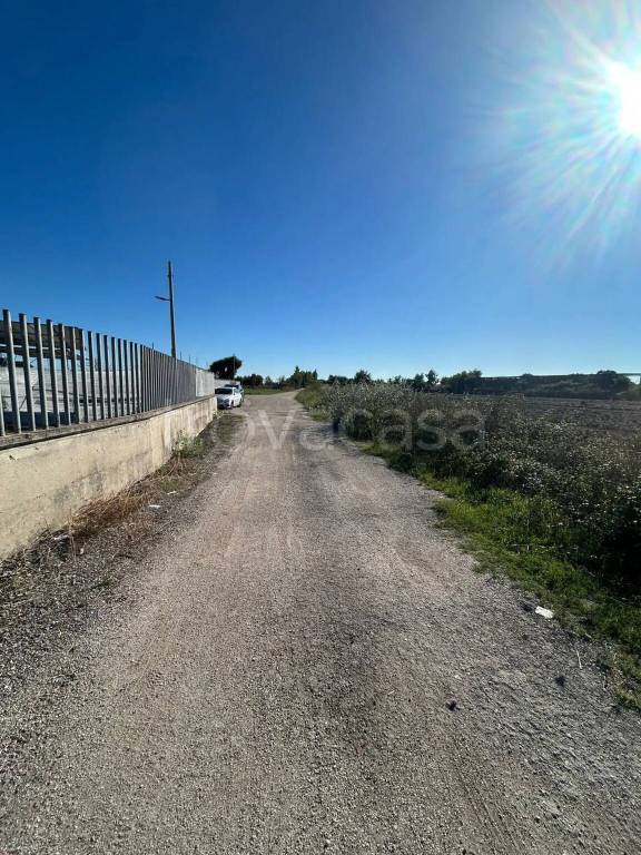 immagine annuncio 3 di 9