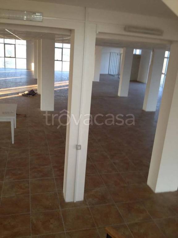 immagine annuncio 5 di 8