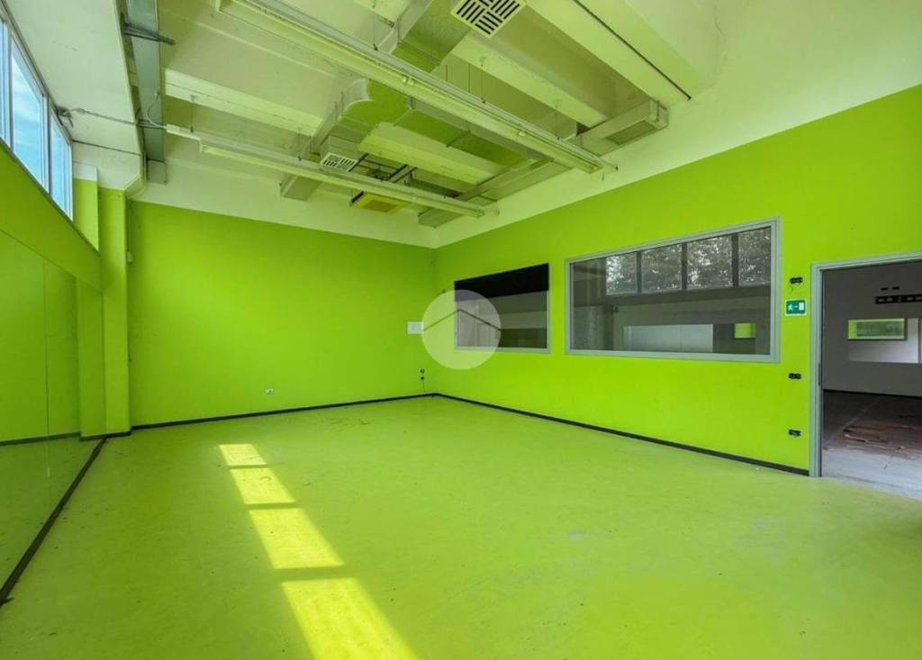 immagine annuncio 6 di 12