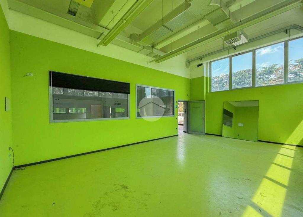 immagine annuncio 7 di 12