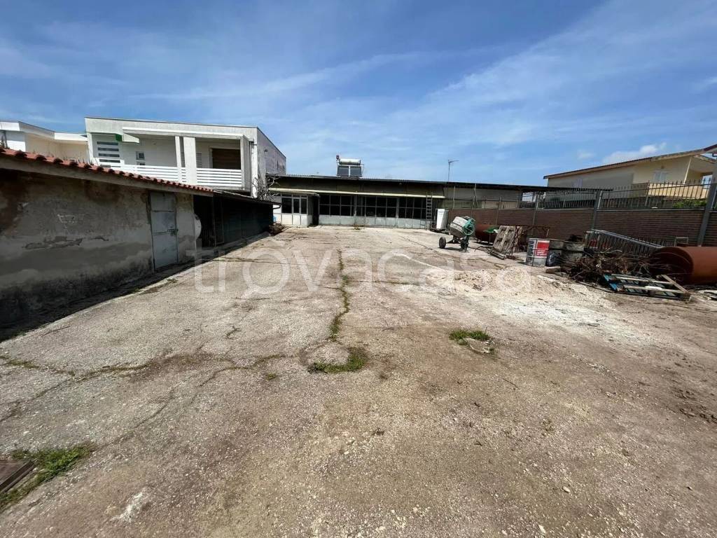 immagine annuncio 1 di 6