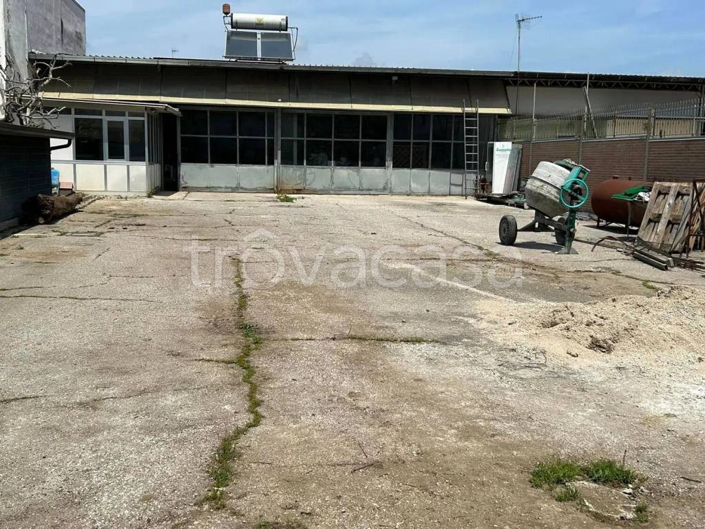 immagine annuncio 2 di 6