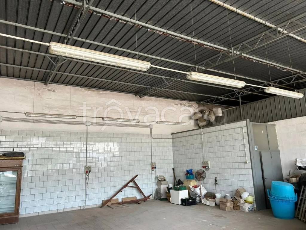 immagine annuncio 4 di 6