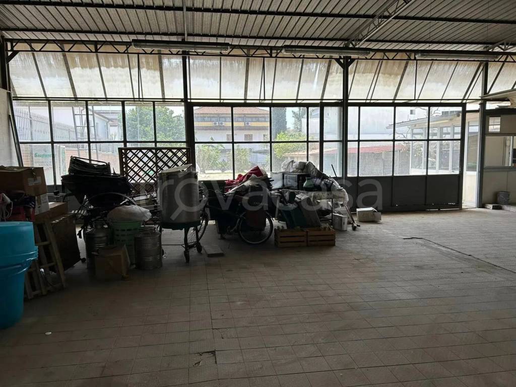 immagine annuncio 5 di 6