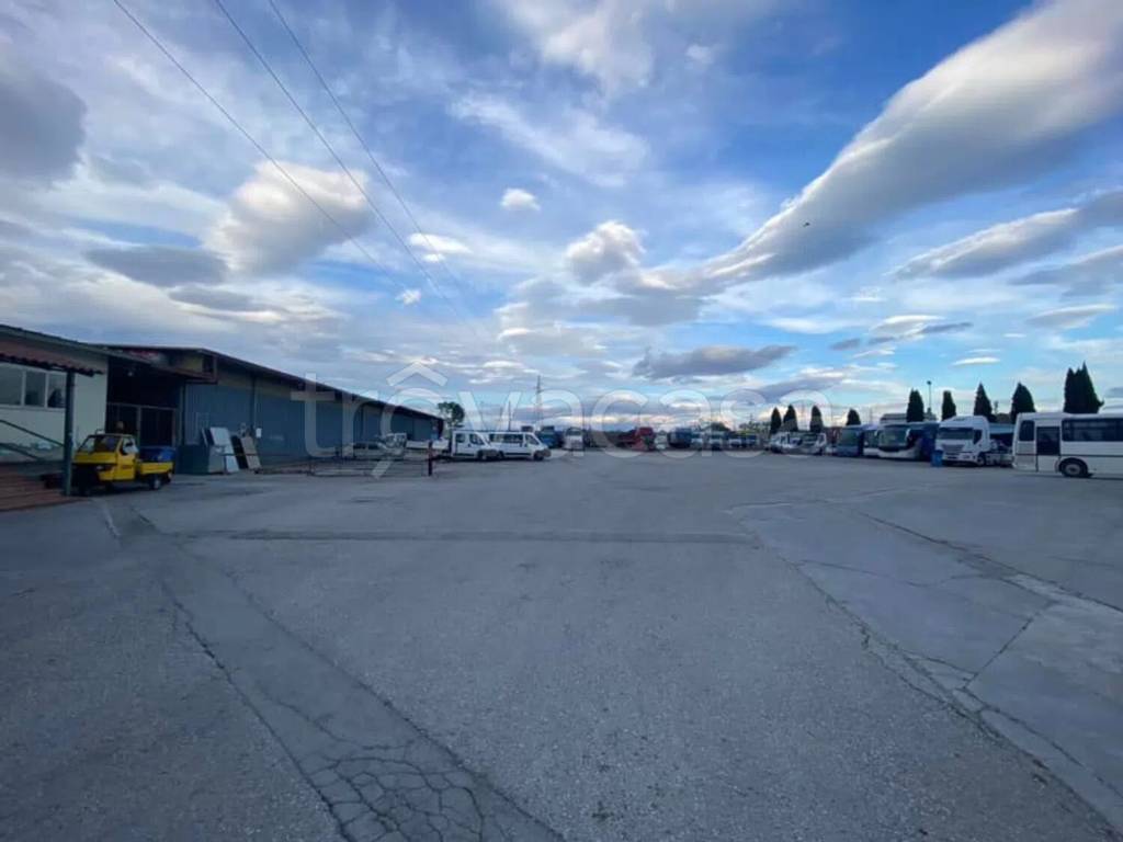 immagine annuncio 2 di 7