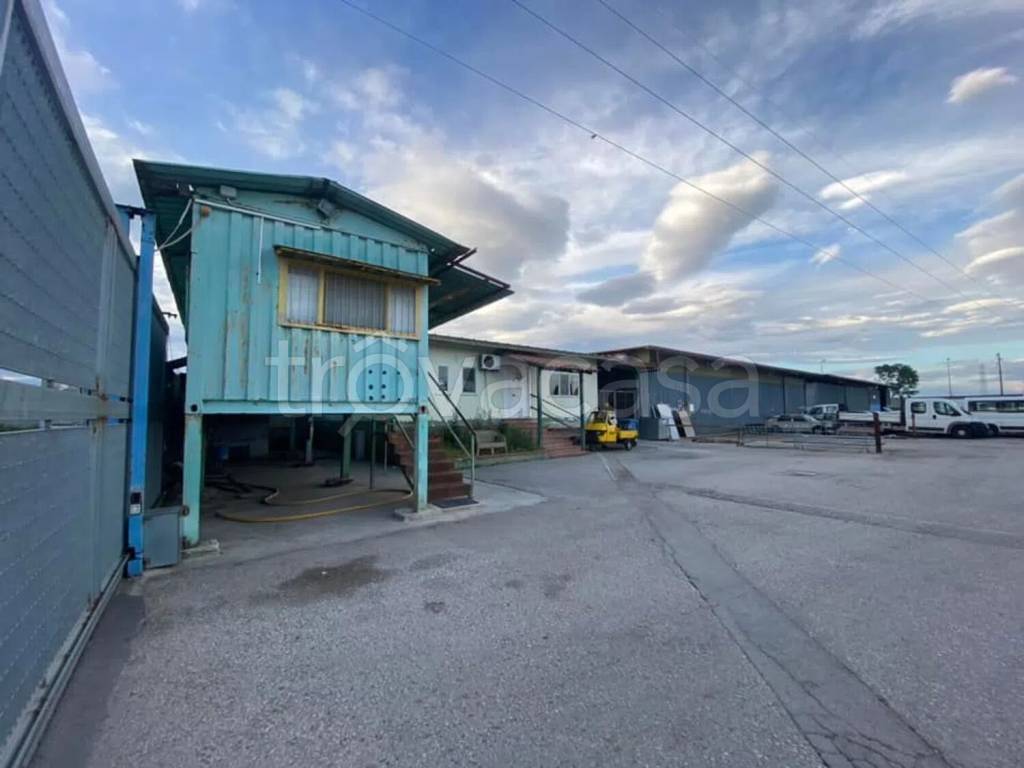 immagine annuncio 5 di 7