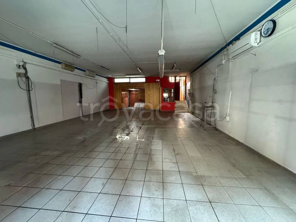 immagine annuncio 3 di 14