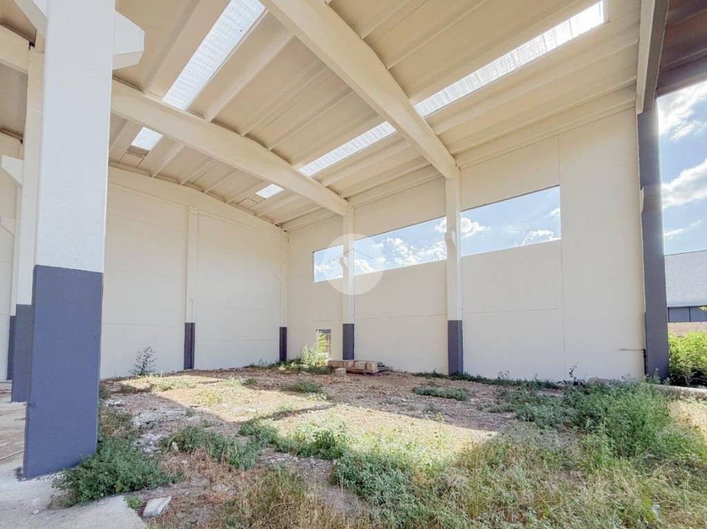 immagine annuncio 2 di 10