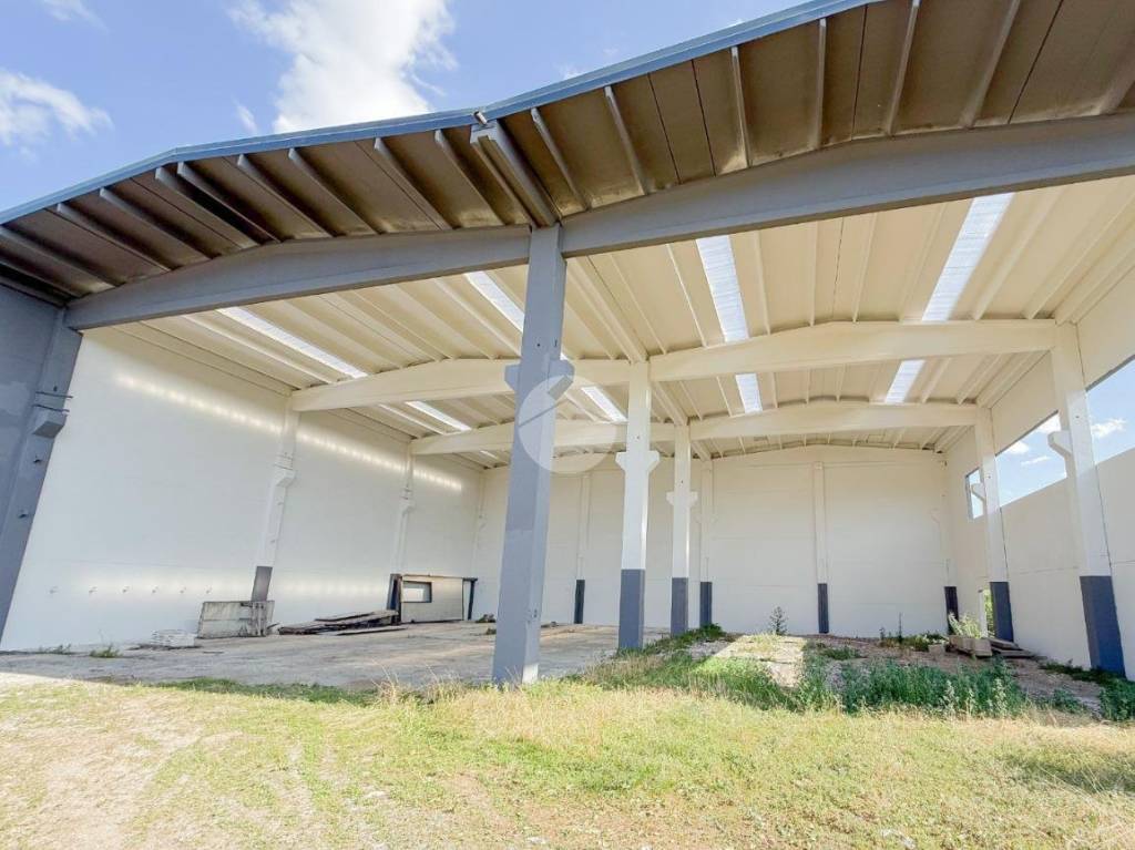 immagine annuncio 4 di 10