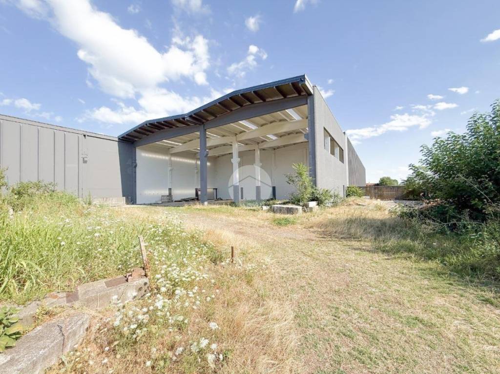 immagine annuncio 5 di 10