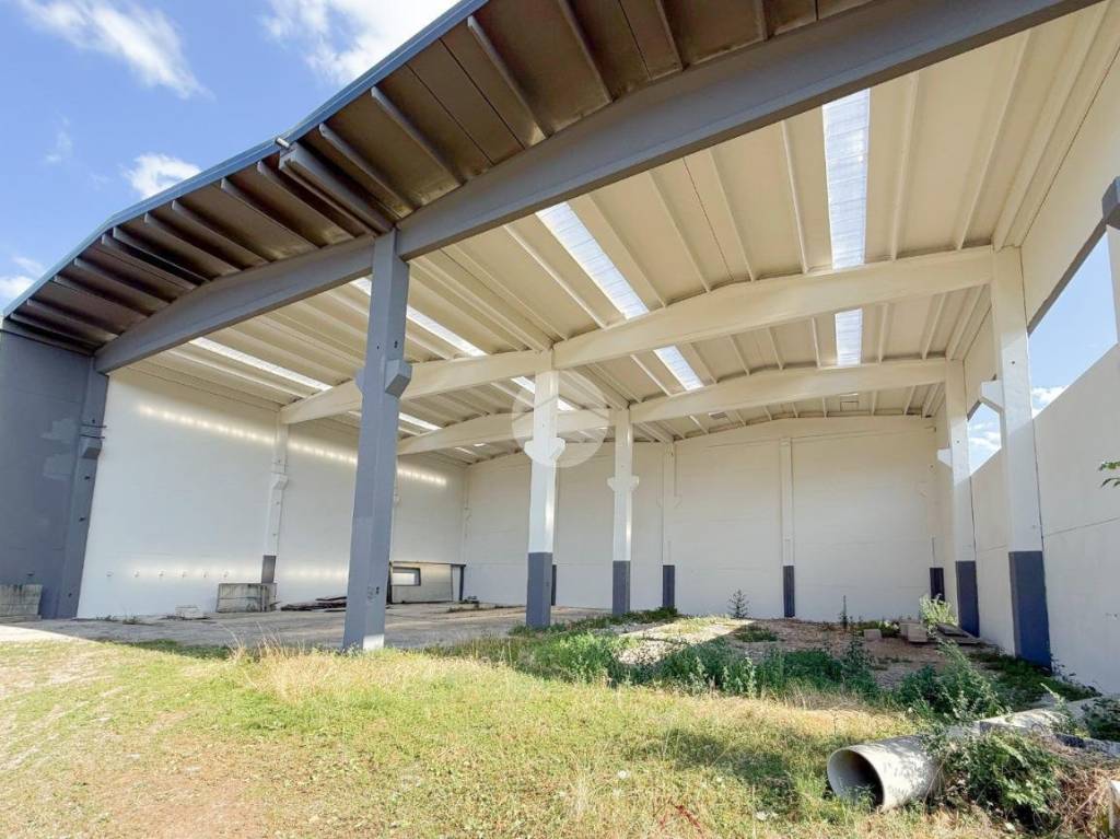 immagine annuncio 6 di 10