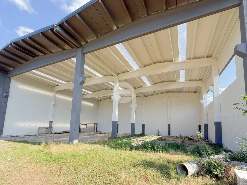 immagine annuncio 7 di 10