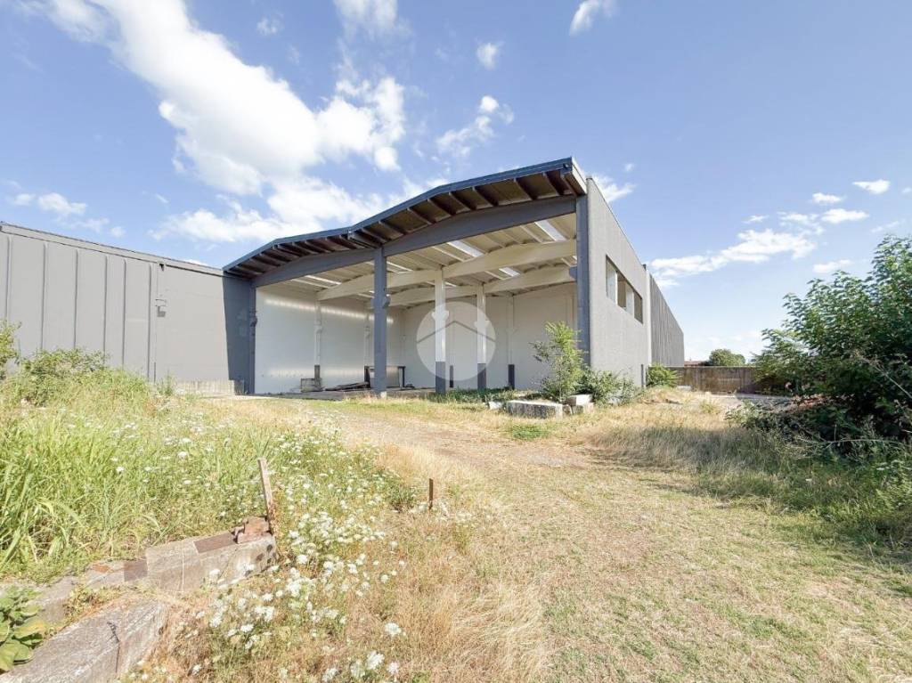 immagine annuncio 8 di 10