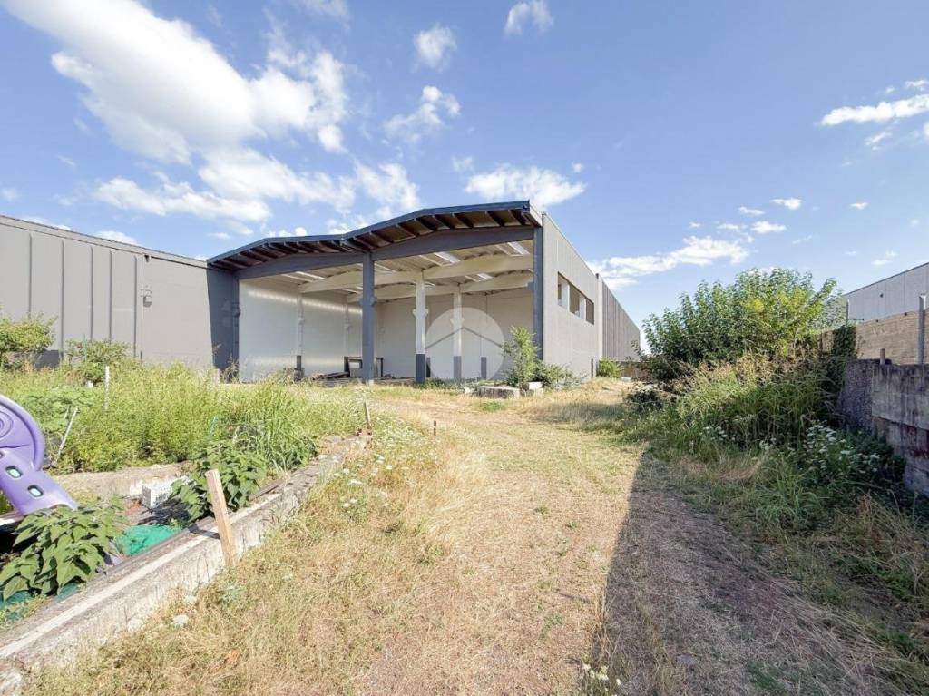 immagine annuncio 9 di 10