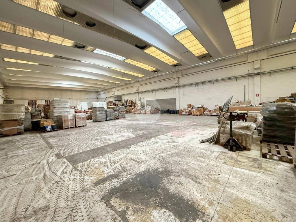 immagine annuncio 2 di 6