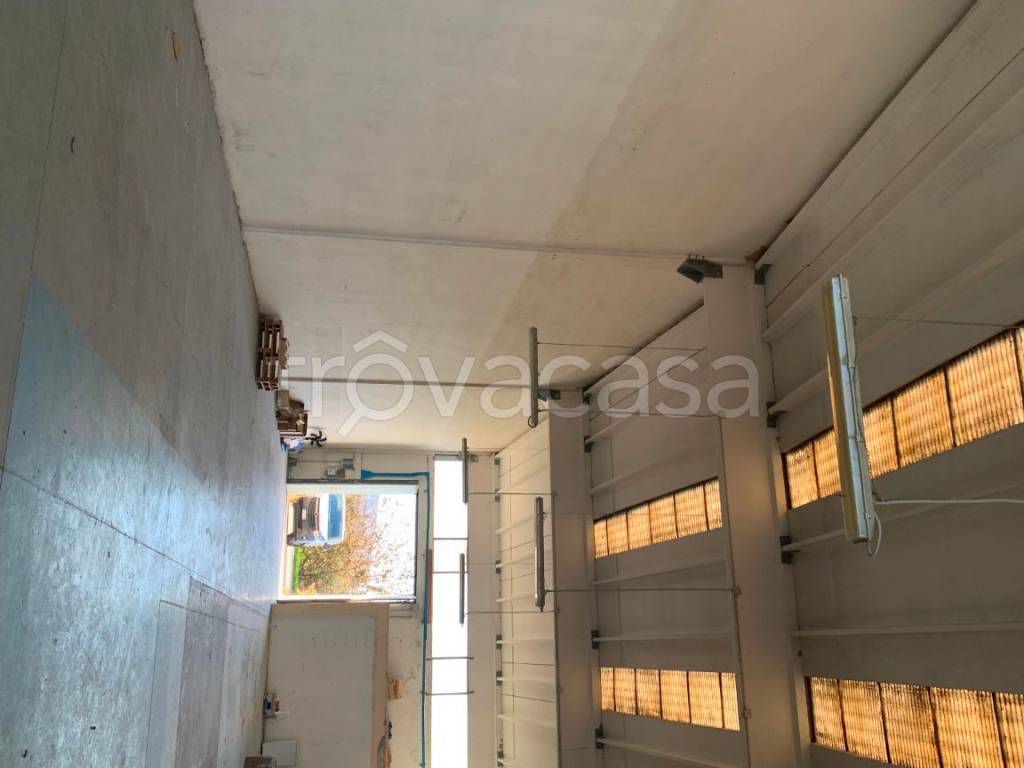 immagine annuncio 6 di 8