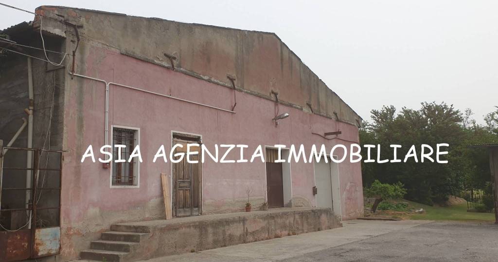 immagine annuncio 2 di 8