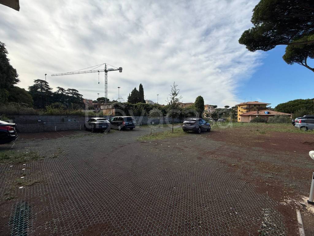 immagine annuncio 5 di 12