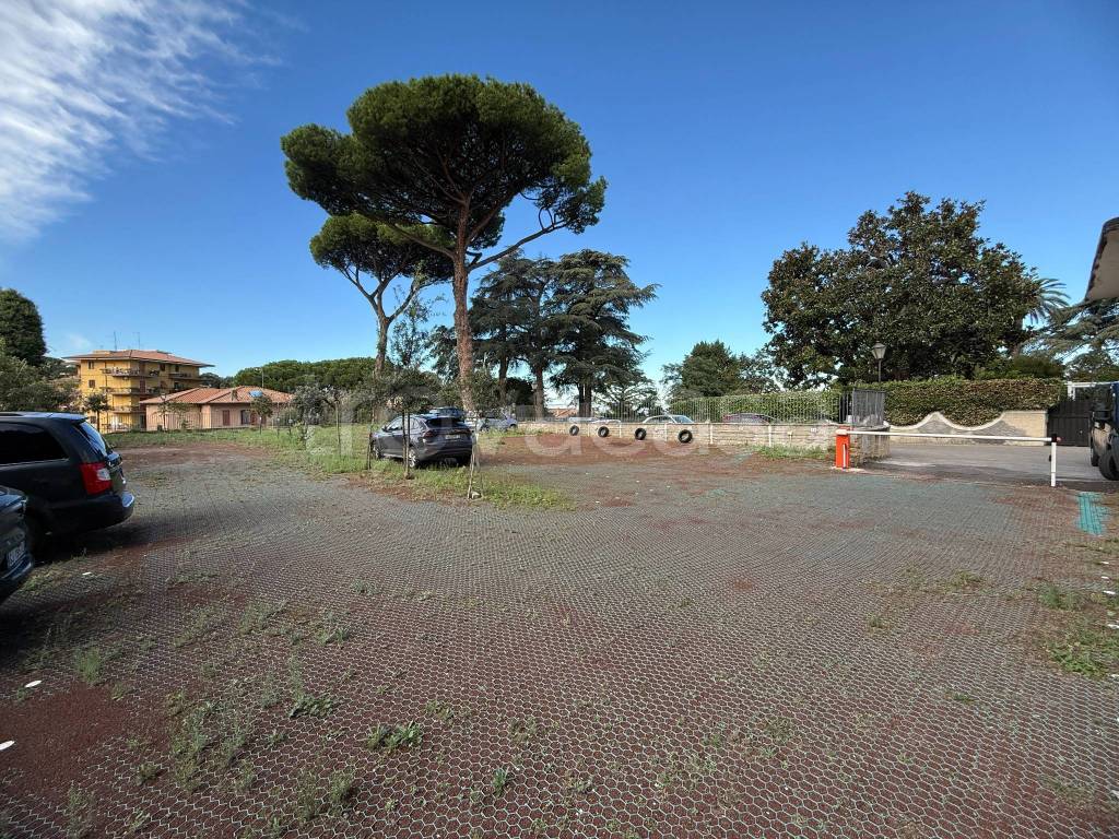 immagine annuncio 6 di 12