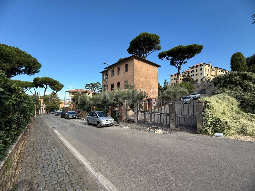 immagine annuncio 7 di 12