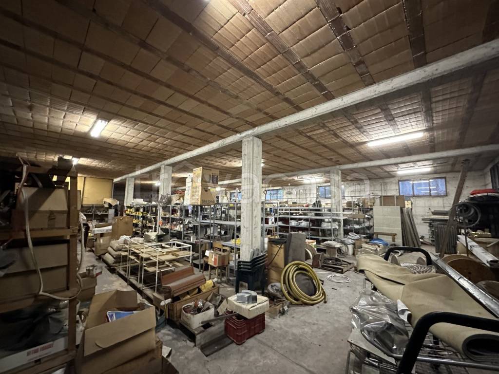 immagine annuncio 3 di 14