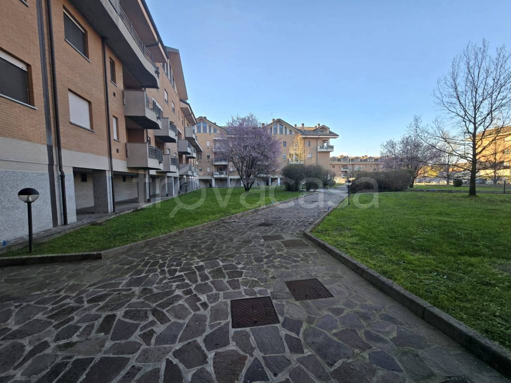 immagine annuncio 11 di 15