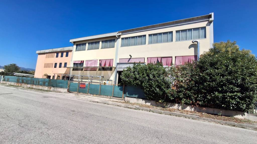 immagine annuncio 1 di 4